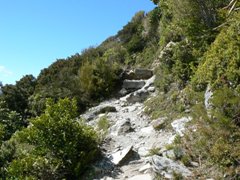 Track to the Sealy Tarn & Mueller Hut